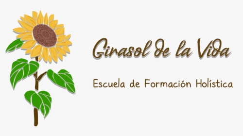 Girasol De La Vida - Sunflower, HD Png Download, Transparent PNG