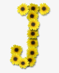 Sunflower Letter J, HD Png Download, Transparent PNG