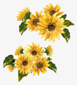 Transparent Girasol Clipart - Painted Yellow Flowers, HD Png Download, Transparent PNG