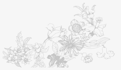 Sketch, HD Png Download, Transparent PNG