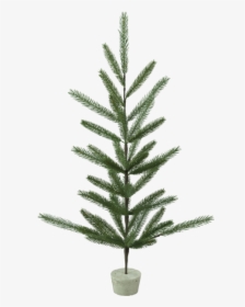 Decorative Tree Boda - Christmas Tree, HD Png Download, Transparent PNG