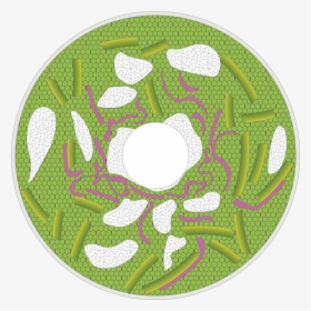 Channel Network - Circle, HD Png Download, Transparent PNG