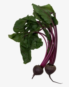 The Grove Juice Truck - Beet Greens, HD Png Download, Transparent PNG