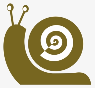 Snail,brand,snails And Slugs - Snail, HD Png Download, Transparent PNG