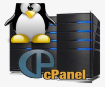 Linux Hosting Png Transparent Images - Linux, Png Download, Transparent PNG