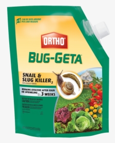 Ortho Bug Geta, HD Png Download, Transparent PNG
