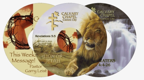Calvary Chapel Cds - Masai Lion, HD Png Download, Transparent PNG