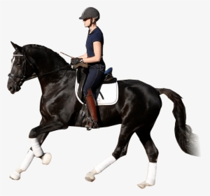 Horse Equestrian Stallion Dressage Western Riding - Horse Riding Logo Png, Transparent Png, Transparent PNG