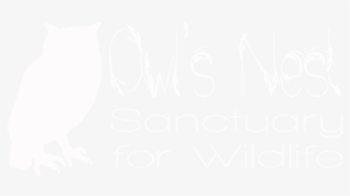Owls Nest Sanctuary, HD Png Download, Transparent PNG