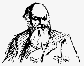 Charles Darwin Drawing Sketch - Charles Darwin Clipart Png, Transparent Png, Transparent PNG