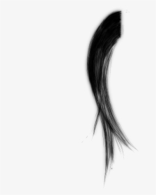 Hair - Sketch, HD Png Download, Transparent PNG