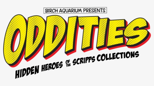 Oddities Logo Blacksubhead@2x - Illustration, HD Png Download, Transparent PNG