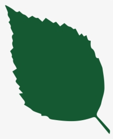 Illustration, HD Png Download, Transparent PNG
