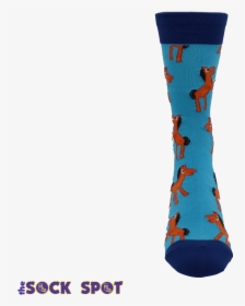Pokey Socks By Socksmith   Class - Sock, HD Png Download, Transparent PNG