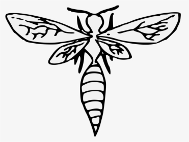 Wasp Wings Clip Art, HD Png Download, Transparent PNG