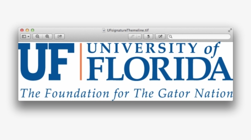 University Of Florida, HD Png Download, Transparent PNG