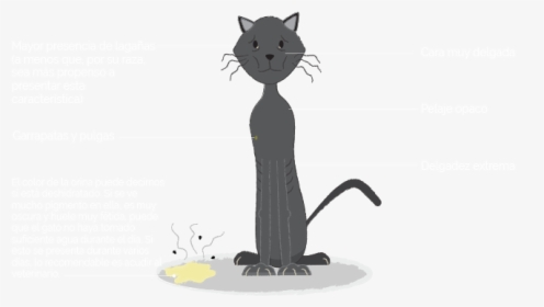 Illustration, HD Png Download, Transparent PNG