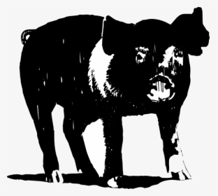 Black And White Pig Svg Clip Arts - Black And White Hog Clipart, HD Png Download, Transparent PNG