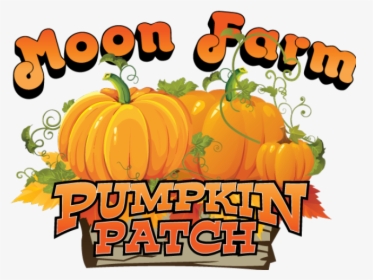 Haunted Clipart Pumpkin Patch - Moon Farm Fruita Colorado, HD Png Download, Transparent PNG