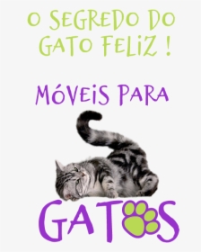 Cat Grabs Treat, HD Png Download, Transparent PNG