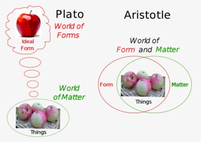 Aristotle Forms, HD Png Download, Transparent PNG