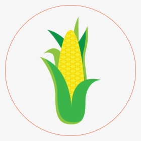 Corn - Sweet Corn, HD Png Download, Transparent PNG