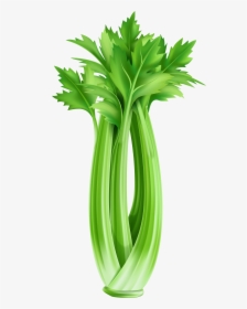 Clip Art Celery Clipart - Celery Clipart, HD Png Download, Transparent PNG