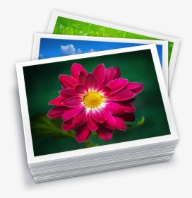 Apertureexpert 20120612001651 Library Icon - Iphoto Library, HD Png Download, Transparent PNG