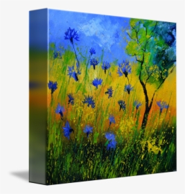 Cornflower Drawing Meadow Flower - Jasione Montana, HD Png Download, Transparent PNG
