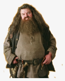 Rubeus Hagrid Png Image With No Background - Harry Potter Hagrid, Transparent Png, Transparent PNG