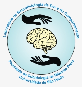 Brain Clipart Transparent Background, HD Png Download, Transparent PNG