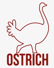 Transparent Ostrich Png - Water Bird, Png Download, Transparent PNG