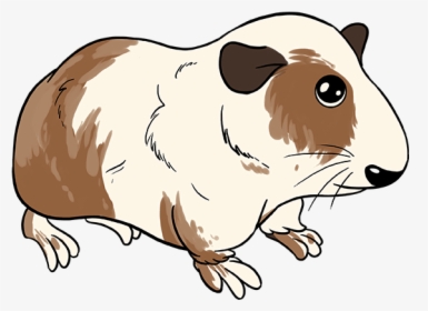 How To Draw Guinea Pig - Guinea Pig Drawing Cartoon, HD Png Download, Transparent PNG