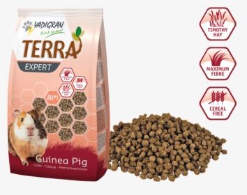 Vadigran Terra Expert Guinea Pig, HD Png Download, Transparent PNG