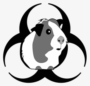 Attack Of The Peruvian Guinea Pig Death Flu , Png Download - Cute Guinea Pig Clipart, Transparent Png, Transparent PNG