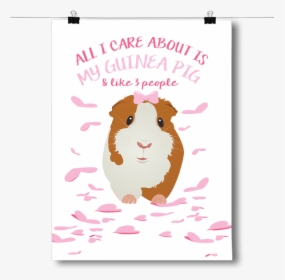 All I Care About Is - Guinea Pig Posters, HD Png Download, Transparent PNG