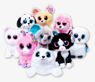 Beanie Boos Ty Toy, HD Png Download, Transparent PNG