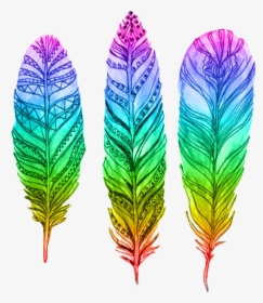 #feather #pluma #rainbow #arcoiris #interesting #art - Feather Coloring Ideas, HD Png Download, Transparent PNG