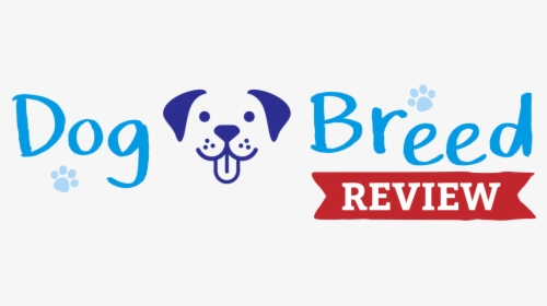 Dog Breed Review, HD Png Download, Transparent PNG