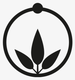 Circle, HD Png Download, Transparent PNG