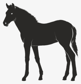 Foal Konik Pony - Mastiff Clipart, HD Png Download, Transparent PNG