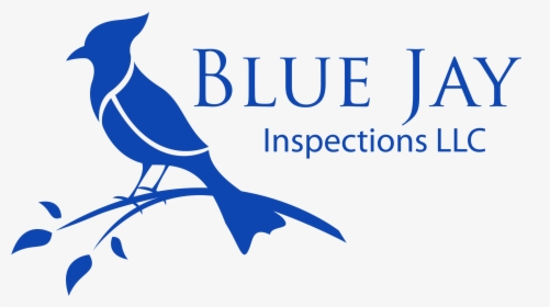 Transparent Blue Jay Png - Blue Jay Bird Logo, Png Download, Transparent PNG