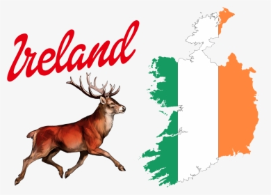 Ireland Flag Logo Png - Ireland Flag With Coat Of Arms, Transparent Png, Transparent PNG