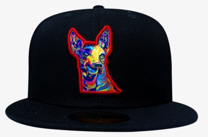 Paw, HD Png Download, Transparent PNG