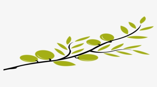 Olive Tree Branch Clipart, HD Png Download, Transparent PNG
