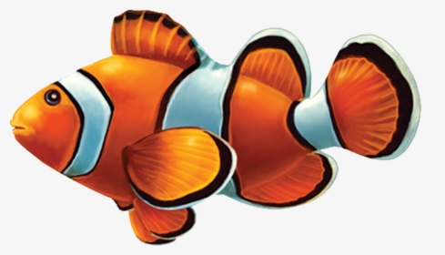 Clown Fish Png Transparent Background - Pool Tile Mosaic Fish, Png Download, Transparent PNG