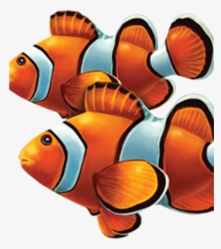 Pool Tile Mosaic Fish, HD Png Download, Transparent PNG
