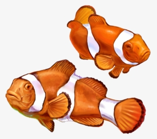 Clown Fish Png Graphic Transparent Library - Nemo Fish Png, Png Download, Transparent PNG
