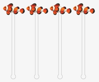 Clownfish Png, Transparent Png, Transparent PNG