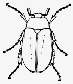 Beetle Transparent Black - Black And White Beetle Clipart, HD Png Download, Transparent PNG